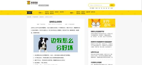 帝國(guó)cms 貓貓狗狗寵物網(wǎng)wap pc雙端自適應(yīng)模板