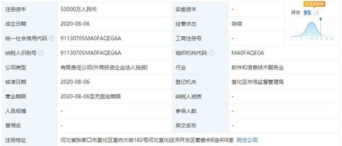 阿里巴巴新公司取名 京西 京東